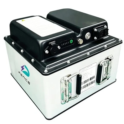 Rehabilitation Trike Battery